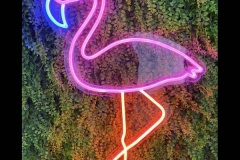 sydney_custom_neon_signs_57-flamingo